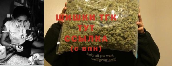 Альфа ПВП Богородск