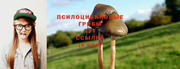 каннабис Богородицк