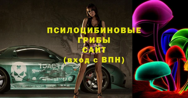 Альфа ПВП Богородск