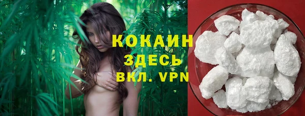 мескалин Бородино