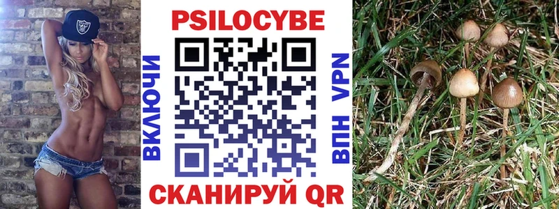 закладка  Вилючинск  даркнет Telegram  Псилоцибиновые грибы MAGIC MUSHROOMS 